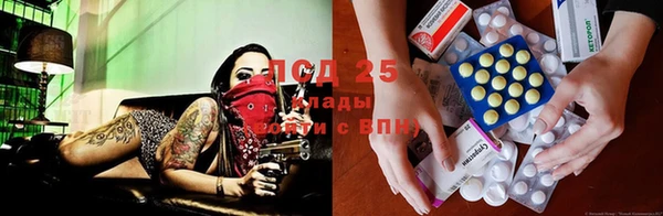 ГАЛЛЮЦИНОГЕННЫЕ ГРИБЫ Абаза
